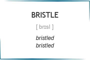 bristle 3 формы глагола