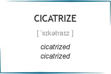 cicatrize 3 формы глагола