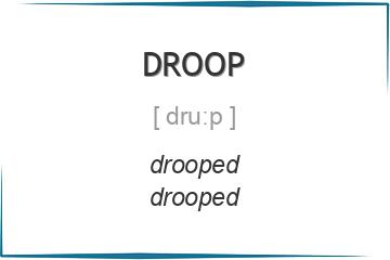 droop 3 формы глагола