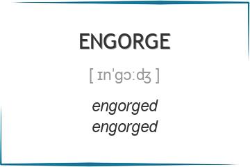 engorge 3 формы глагола