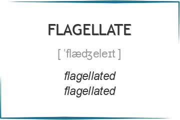 flagellate 3 формы глагола