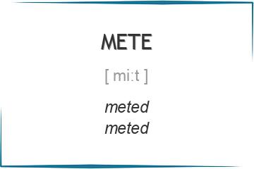 mete 3 формы глагола