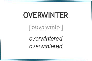 overwinter 3 формы глагола