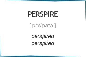 perspire 3 формы глагола