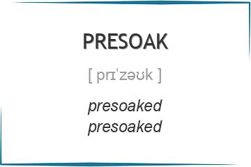 presoak 3 формы глагола