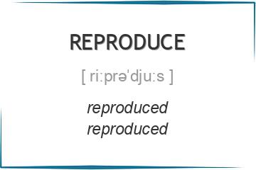 reproduce 3 формы глагола