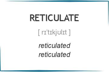 reticulate 3 формы глагола