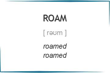 roam 3 формы глагола