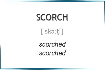 scorch 3 формы глагола