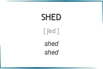 shed 3 формы глагола