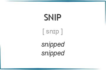 snip 3 формы глагола
