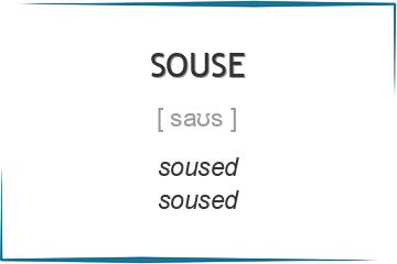 souse 3 формы глагола