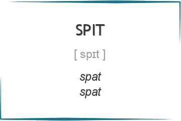 spit 3 формы глагола