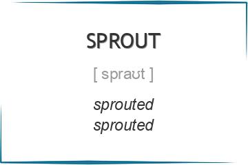 sprout 3 формы глагола