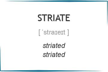 striate 3 формы глагола