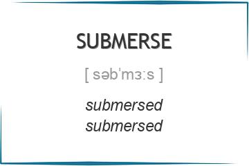 submerse 3 формы глагола