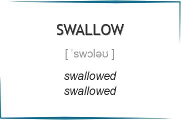 swallow 3 формы глагола